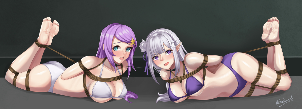 This is a pixiv picture whose title is [COM] Emilia & Anastasia.