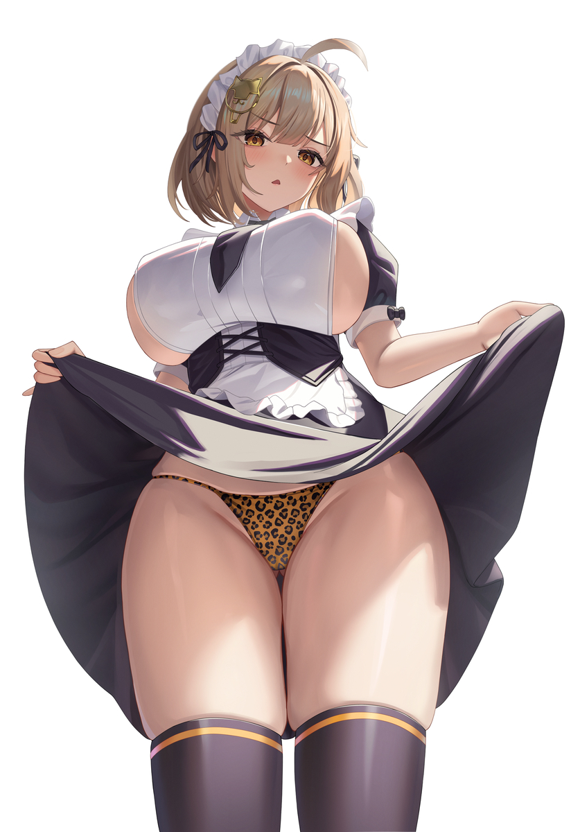 This is a pixiv picture whose title is メイドアニス.
