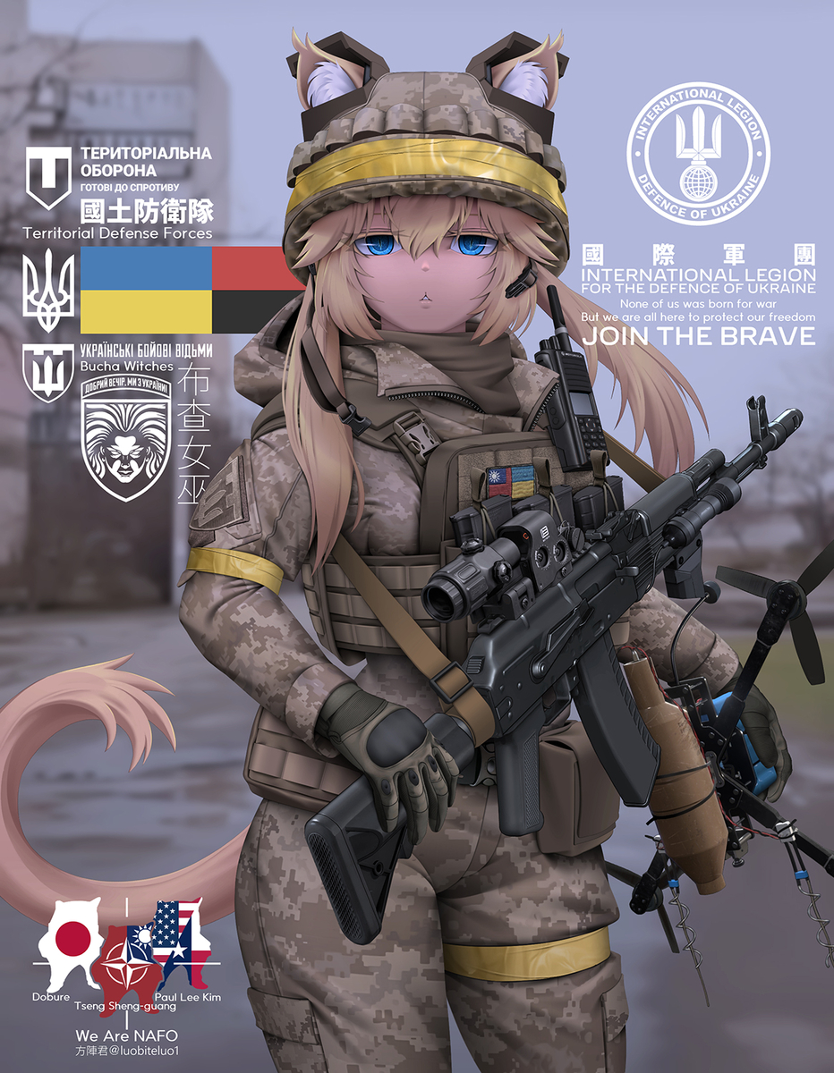 This is a pixiv picture whose title is територіальної оборони 國土防衛隊.