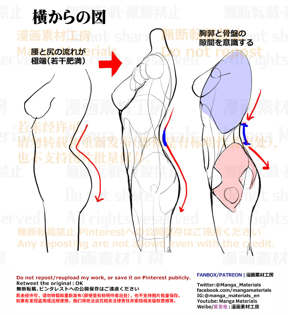 This is a pixiv picture whose title is 個人メモ：横から見た胴体のライン.