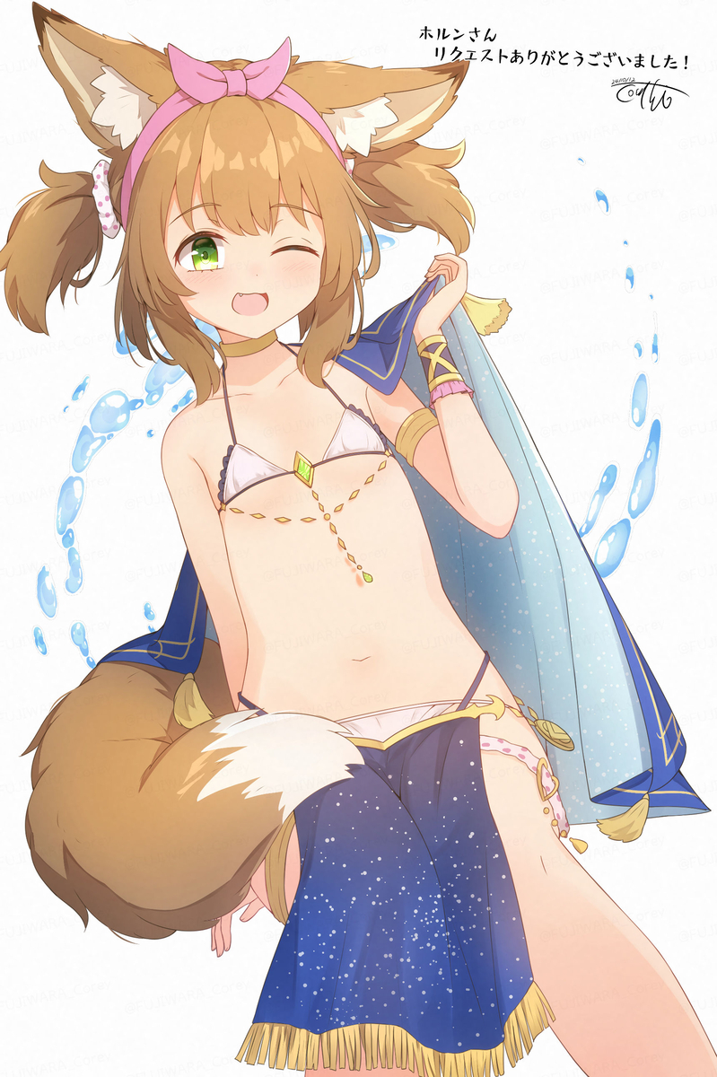 This is a pixiv picture whose title is 水着の獣耳少女 アラジン (偽りのアリス).