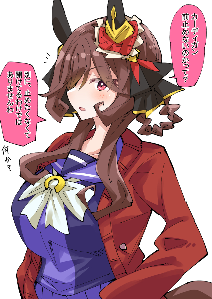 This is a pixiv picture whose title is カーディガンとジェンティルドンナ.