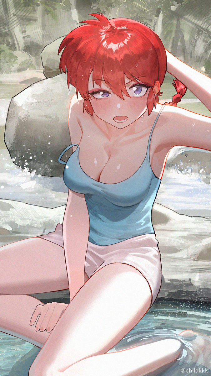 This is a pixiv picture whose title is 乱馬.