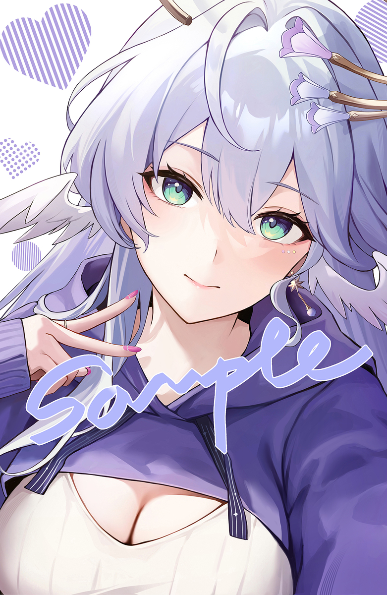 This is a pixiv picture whose title is robin.