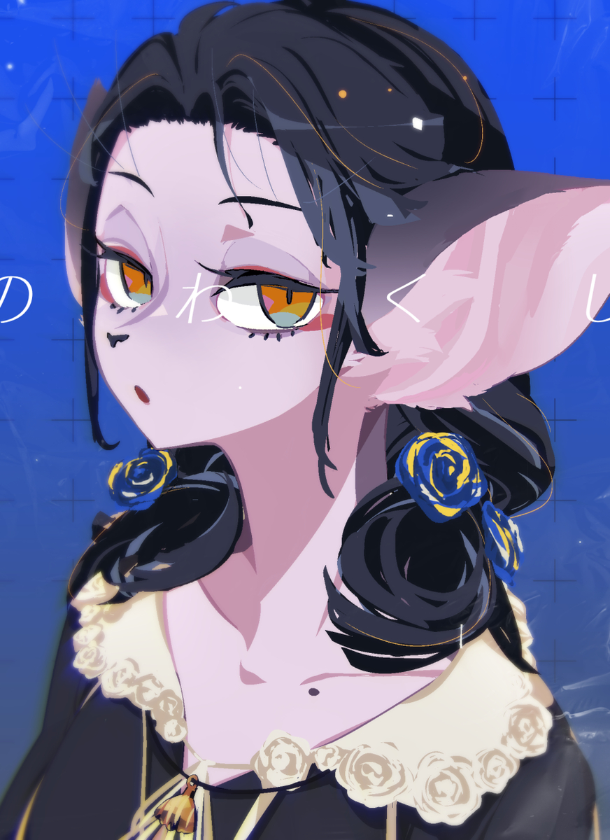 This is a pixiv picture whose title is ノワクーシー.