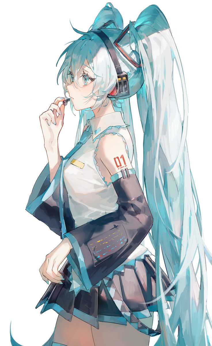 This is a pixiv picture whose title is Miku.