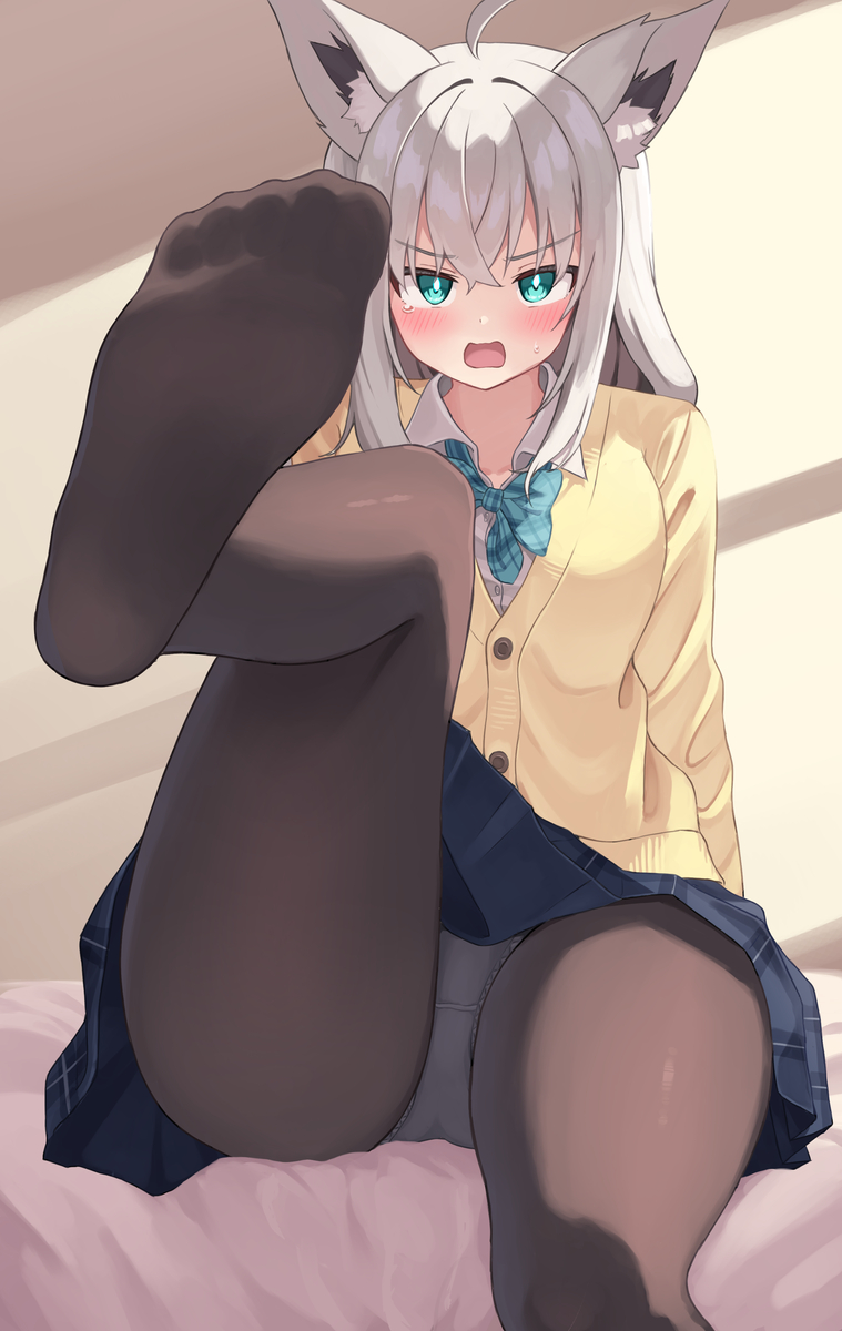 This is a pixiv picture whose title is タイツフブキ.