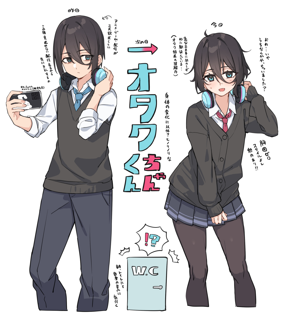 This is a pixiv picture whose title is 本人曰く”こういうこと”は想定済みらしい.