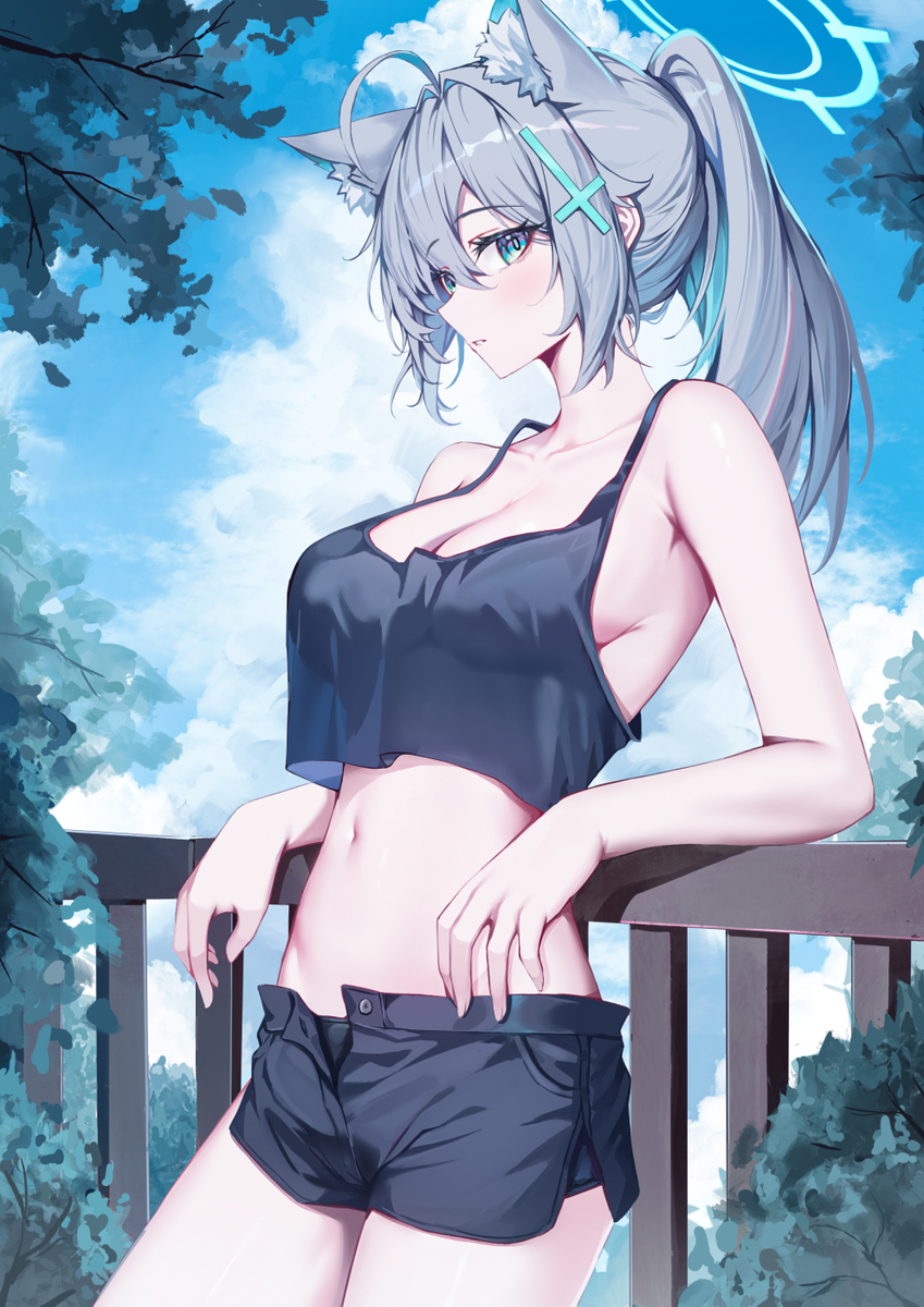 This is a pixiv picture whose title is シロコ.