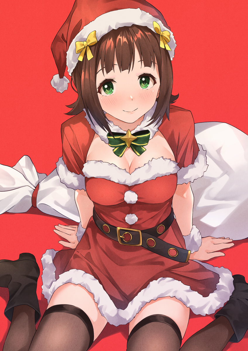 This is a pixiv picture whose title is メリークリスマス！.