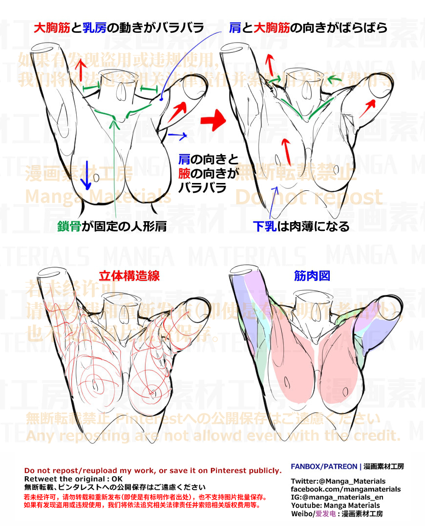 This is a pixiv picture whose title is 個人メモ：腕可動時の肩周りの筋肉の流れ.