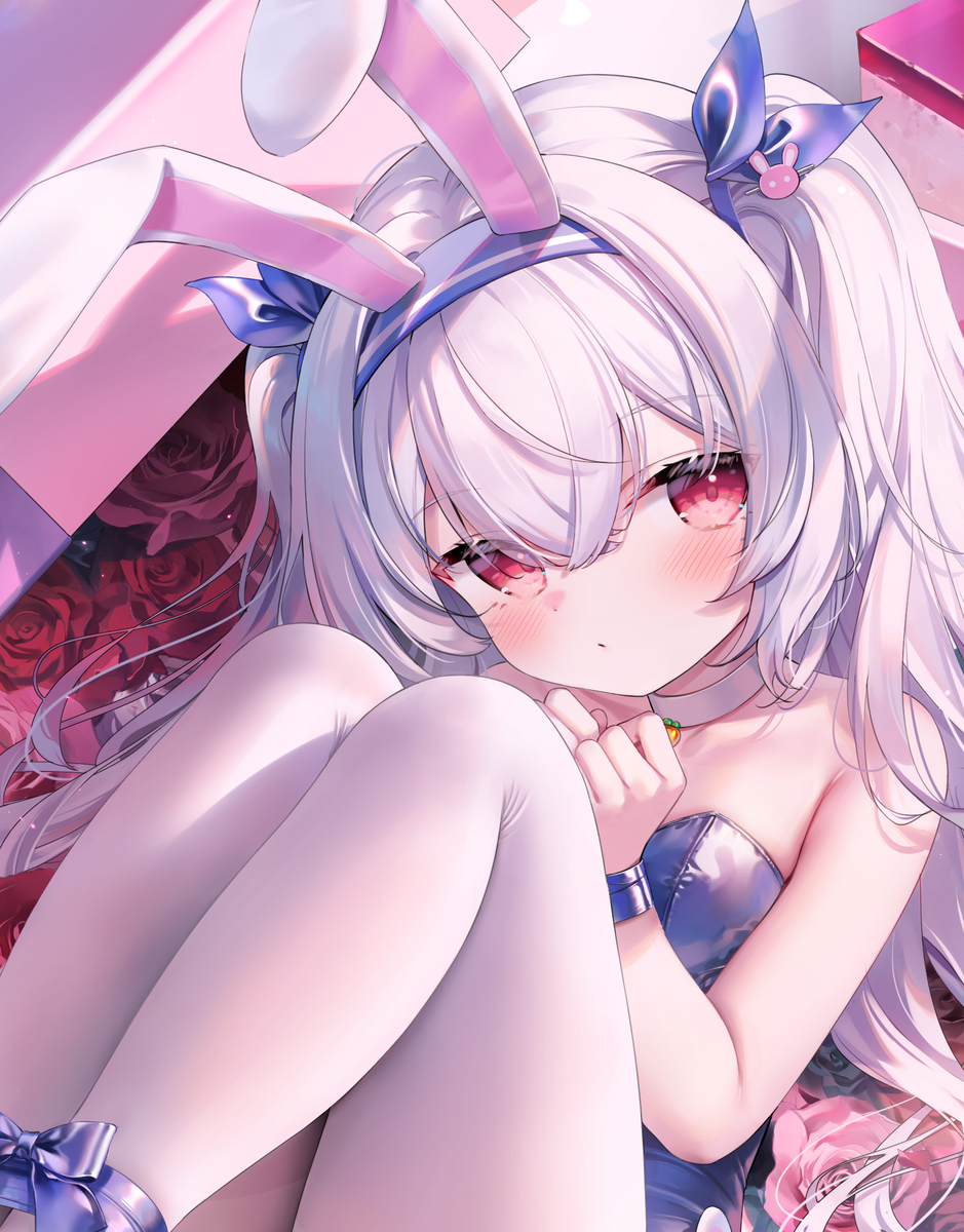 This is a pixiv picture whose title is 每个月的白丝/黑丝（2024.12）.