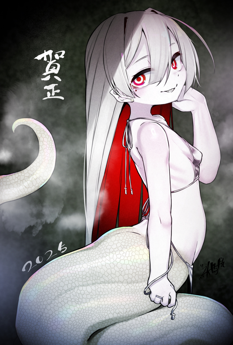 This is a pixiv picture whose title is 2025 年賀状.