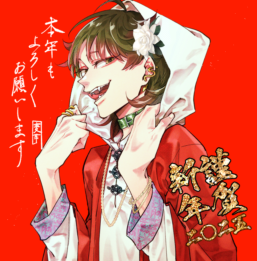 This is a pixiv picture whose title is 新年とSNS.