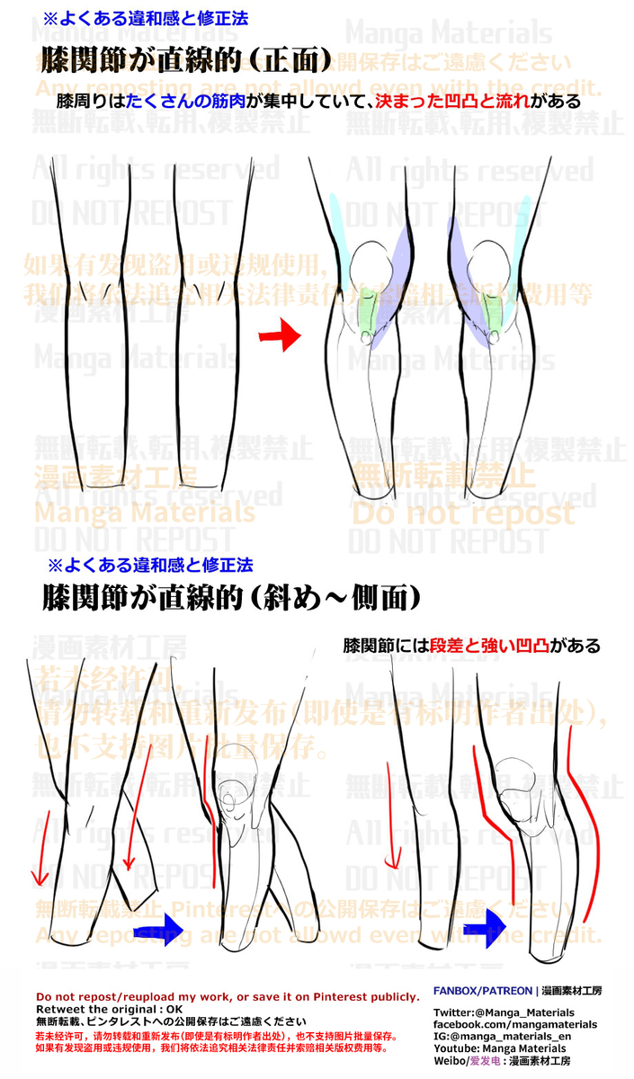 This is a pixiv picture whose title is 個人メモ：膝の構造.