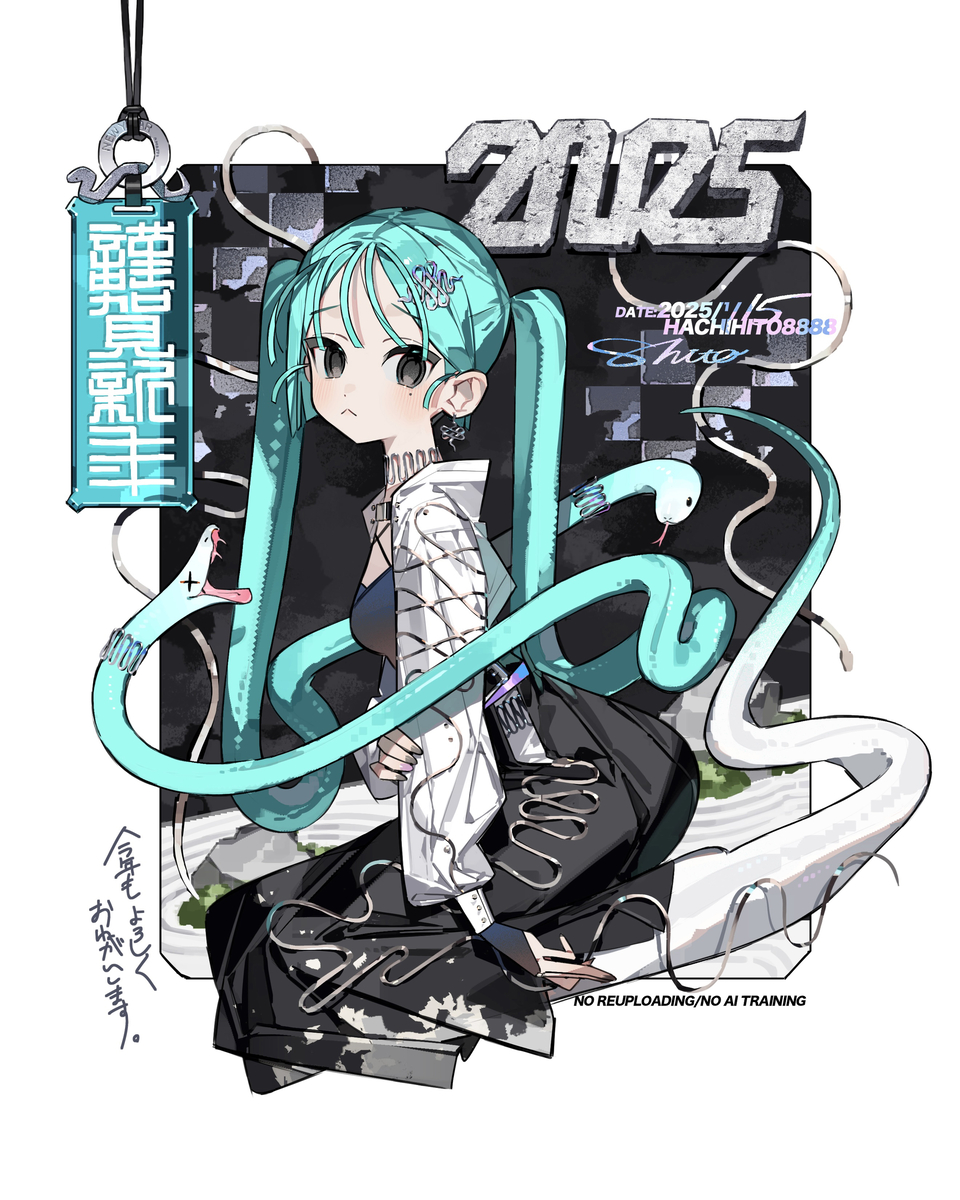 This is a pixiv picture whose title is 🐍2025🐍.