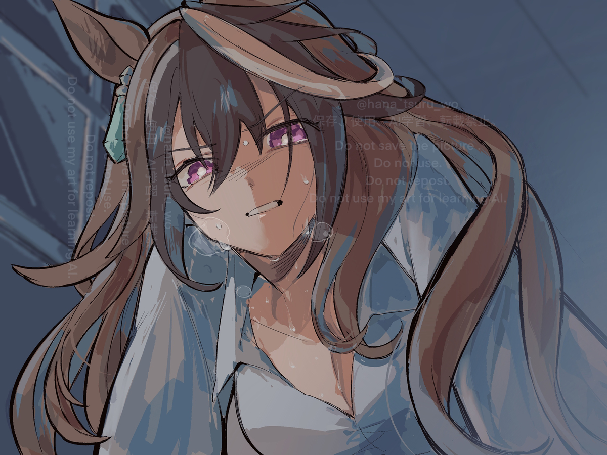 This is a pixiv picture whose title is 正月イベの表情描きたかったシンボリルドルフの絵.