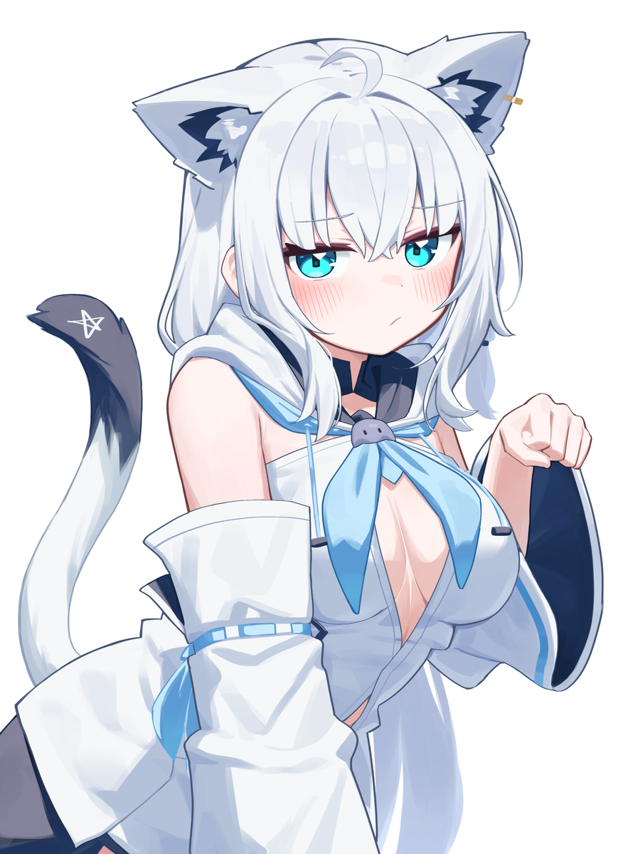 This is a pixiv picture whose title is ねこフブちゃん.