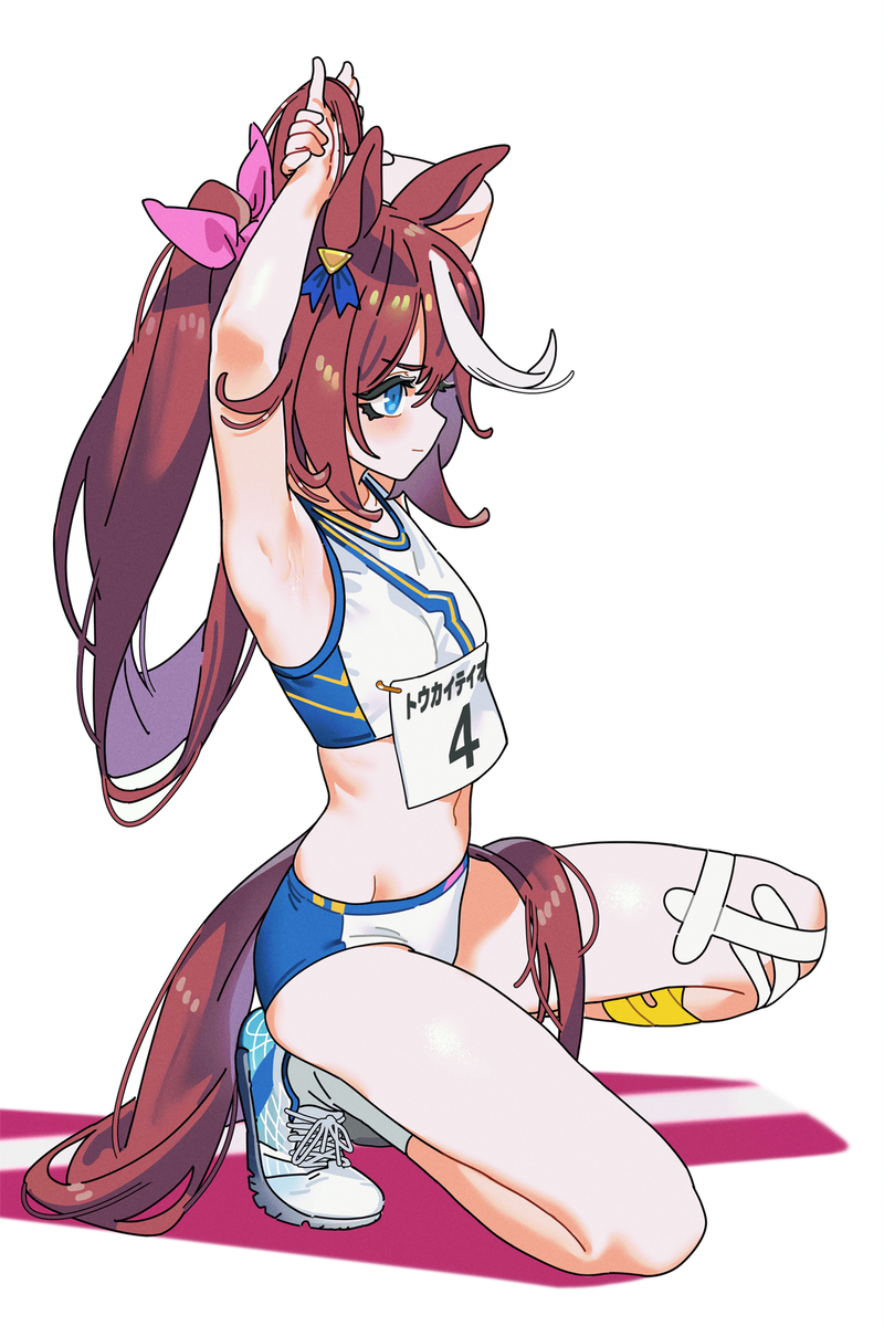 This is a pixiv picture whose title is Teio.