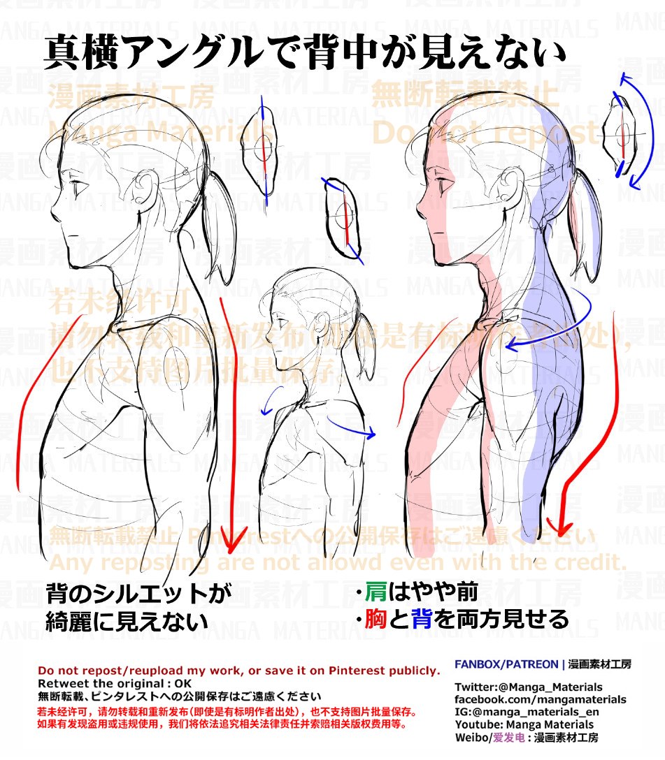 This is a pixiv picture whose title is 個人メモ：真横アングルの肩周り.