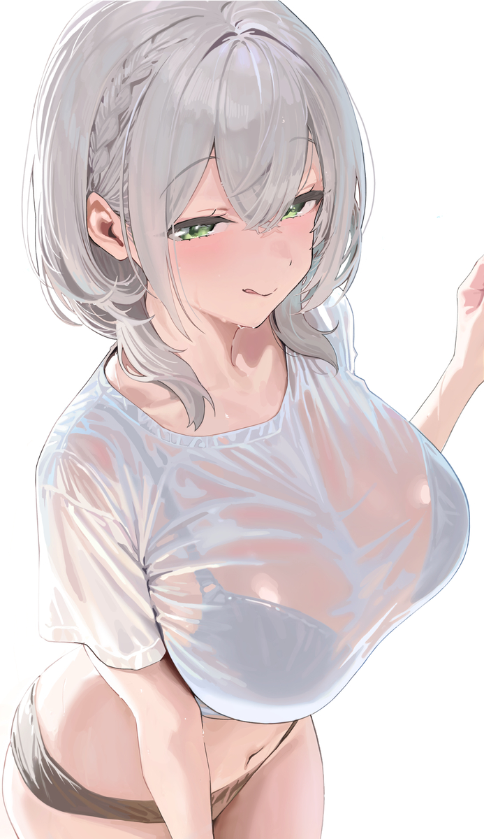 This is a pixiv picture whose title is 白銀ノエル.