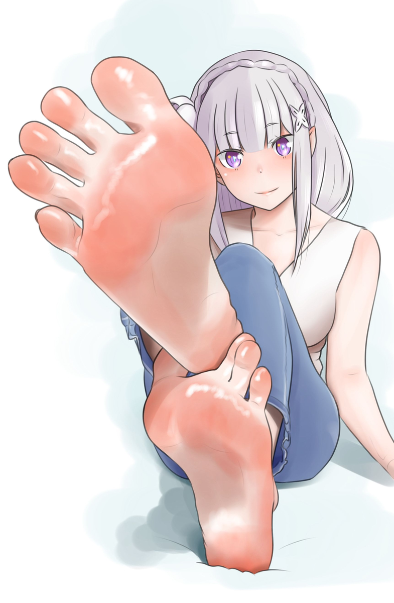 This is a pixiv picture whose title is エミリア.
