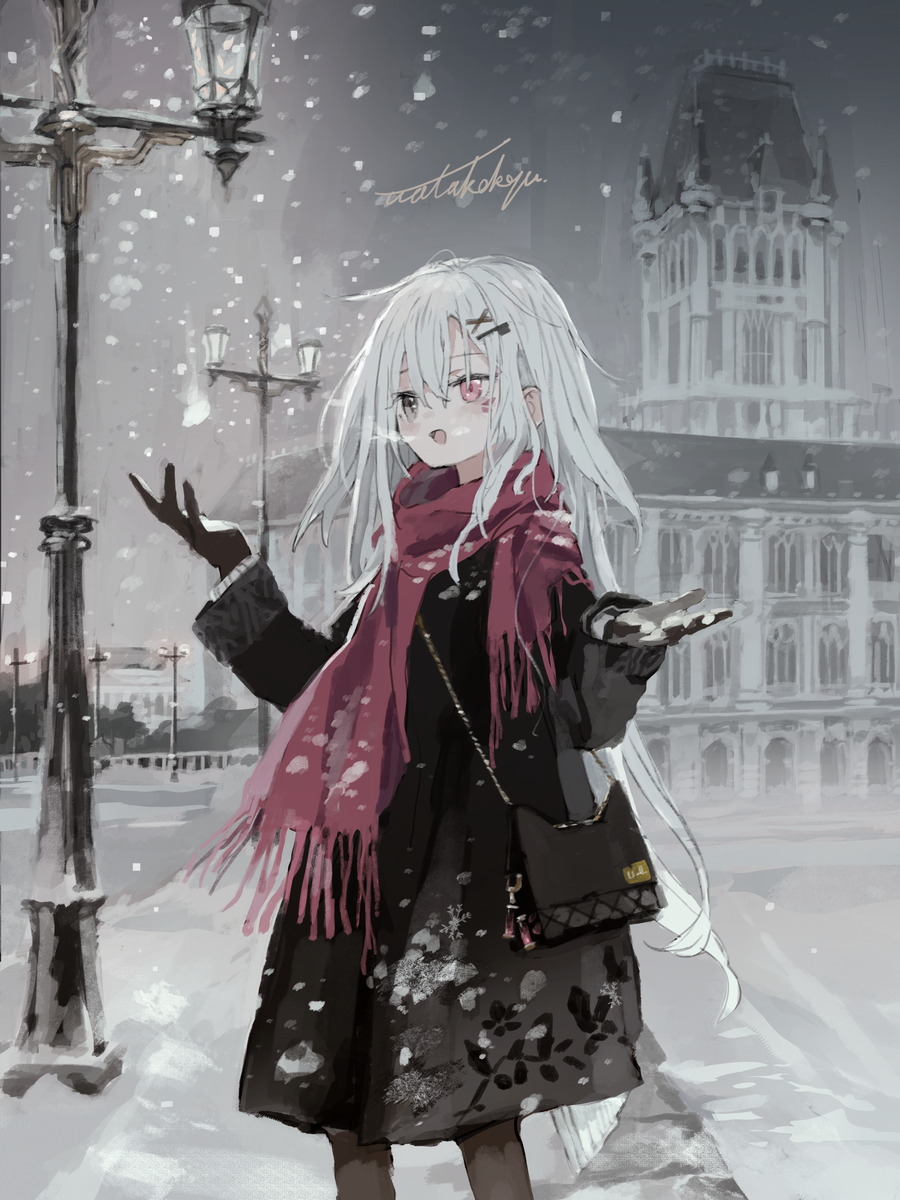 This is a pixiv picture whose title is snow.