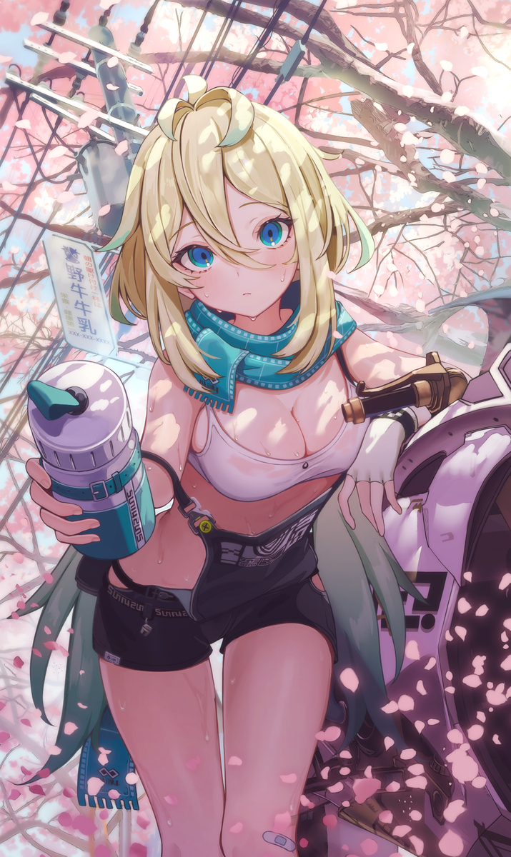 This is a pixiv picture whose title is チェイシング・カレイドライダー様お祝いイラスト.