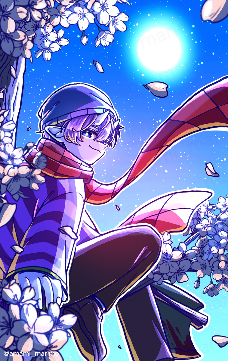 This is a pixiv picture whose title is 夜桜.