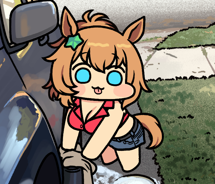 This is a pixiv picture whose title is タイキシャトル.