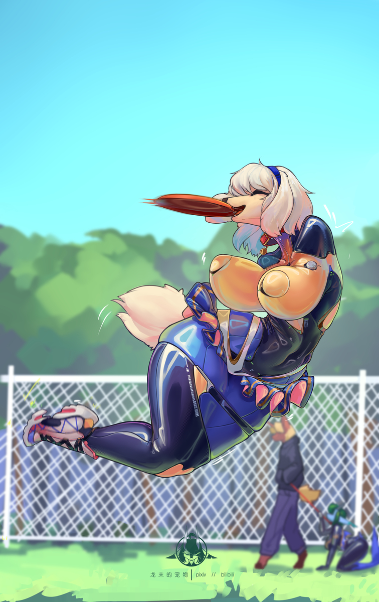This is a pixiv picture whose title is 飞盘狗.