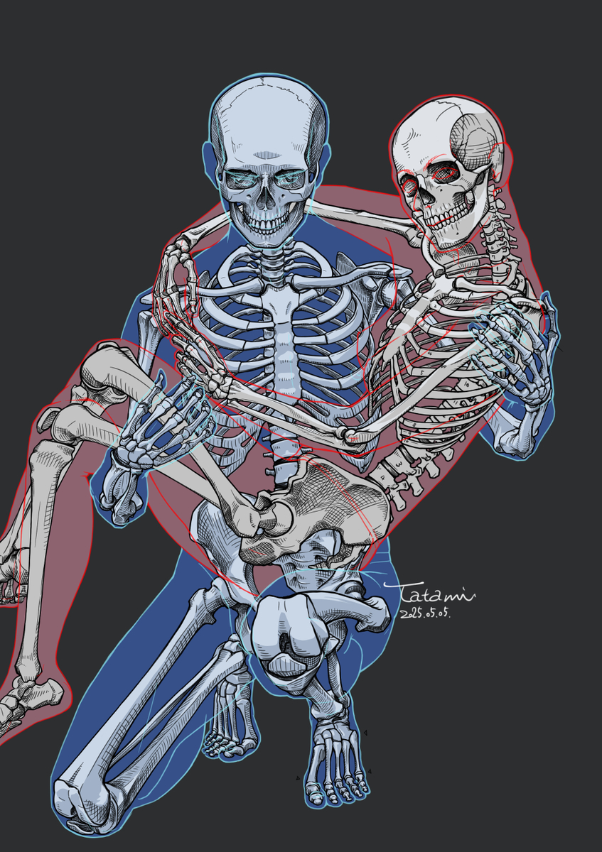 This is a pixiv picture whose title is 男女の骨格図.