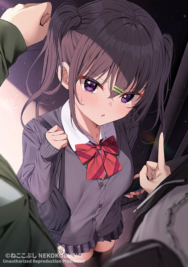 This is a pixiv picture whose title is 男「頼むっ！もう一回・・・！」.