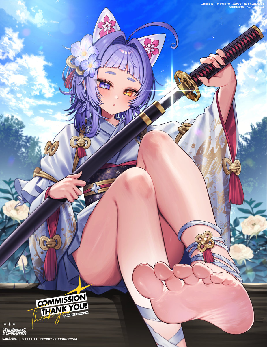 This is a pixiv picture whose title is commission.