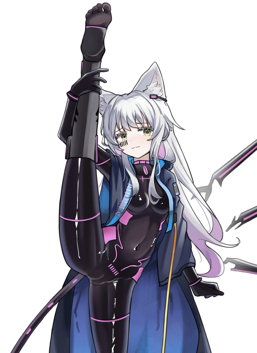 This is a pixiv picture whose title is 恶堕猫猫.