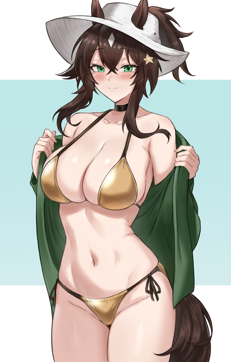 This is a pixiv picture whose title is Meteor Golden bikini.