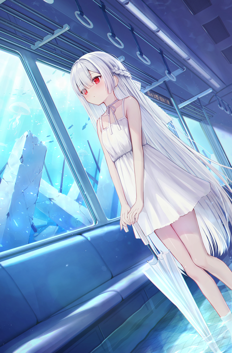 This is a pixiv picture whose title is 海想列車.