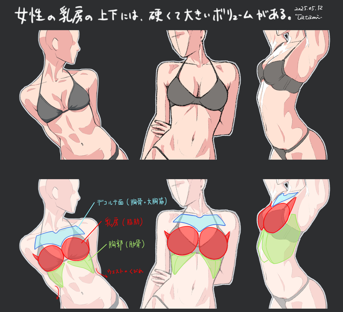 This is a pixiv picture whose title is 乳房の上下の硬いボリューム.