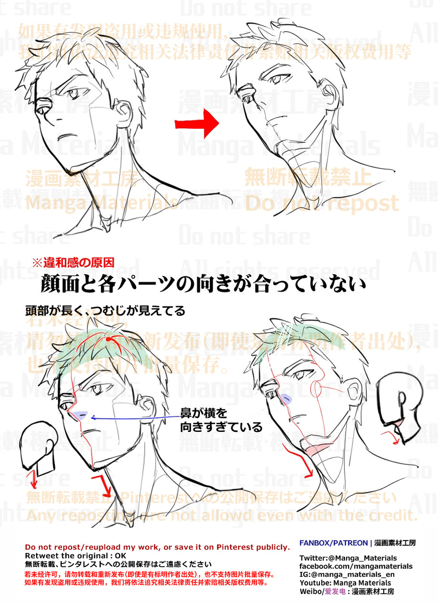 個人メモ：アオリの顔のよくある違和感 - Page 1