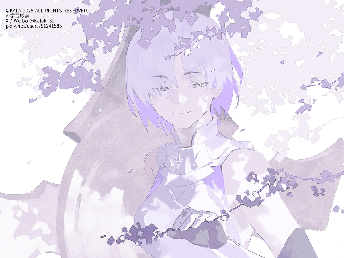 This is a pixiv picture whose title is Shielder Paladin.