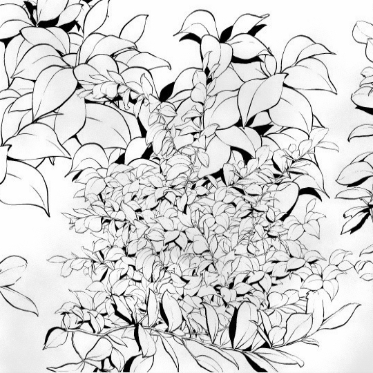 This is a pixiv picture whose title is 白葉ブラシ01.