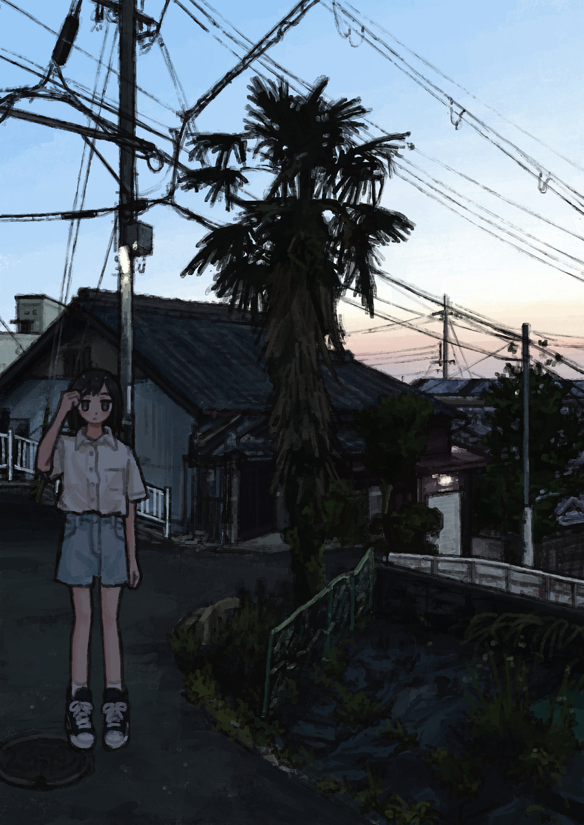 This is a pixiv picture whose title is 初夏、夕方の棕櫚.