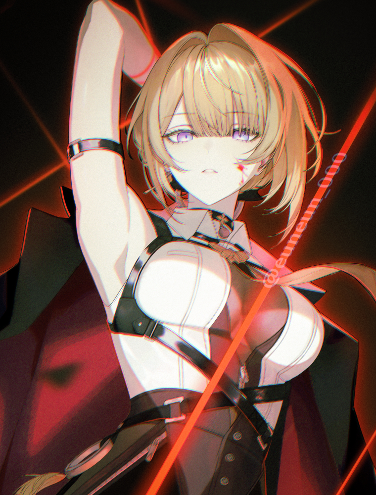 This is a pixiv picture whose title is Evelyn Chevalier.