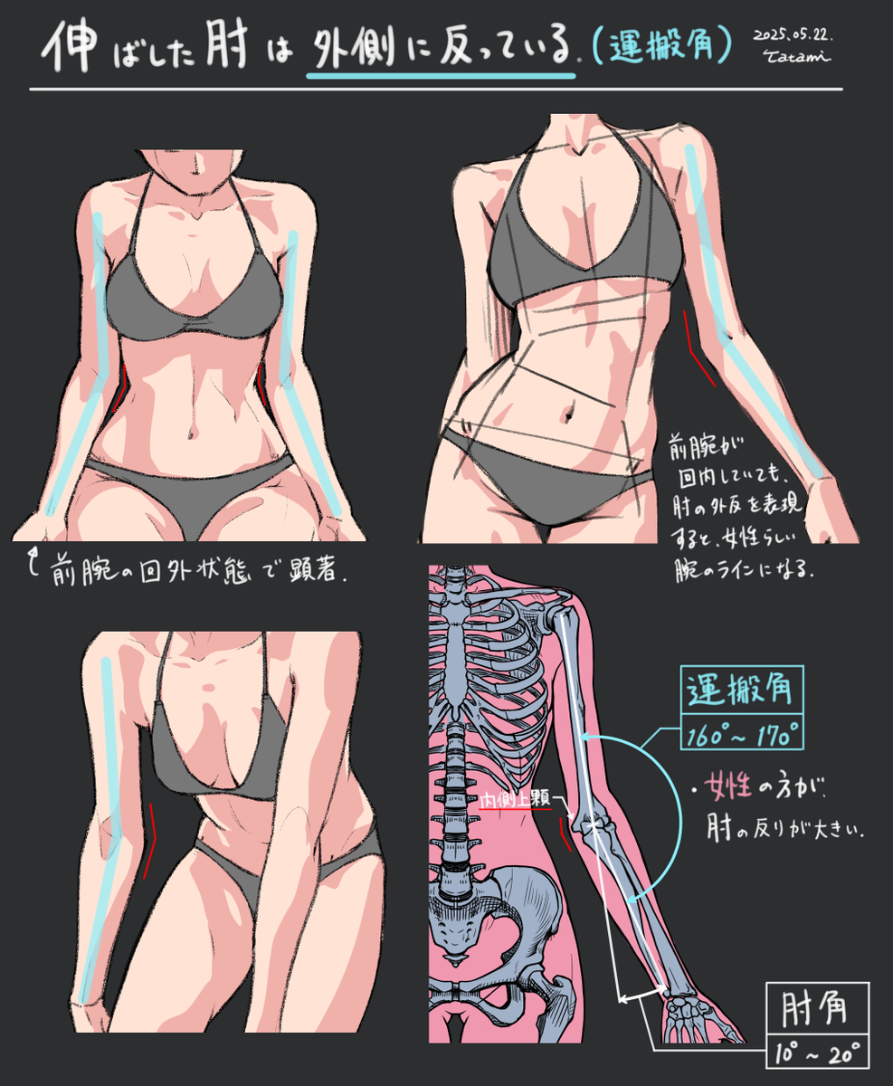 This is a pixiv picture whose title is 肘の外反角（運搬角）.