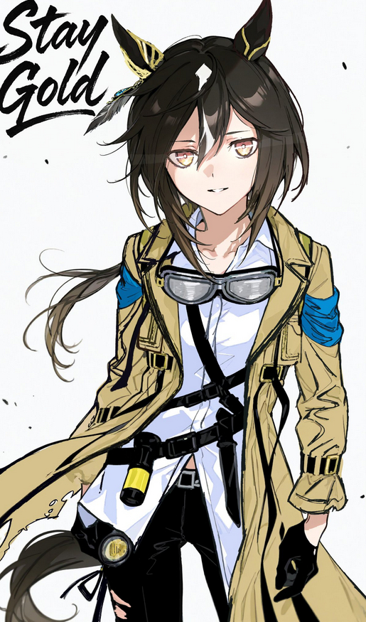 This is a pixiv picture whose title is ステイゴールド.