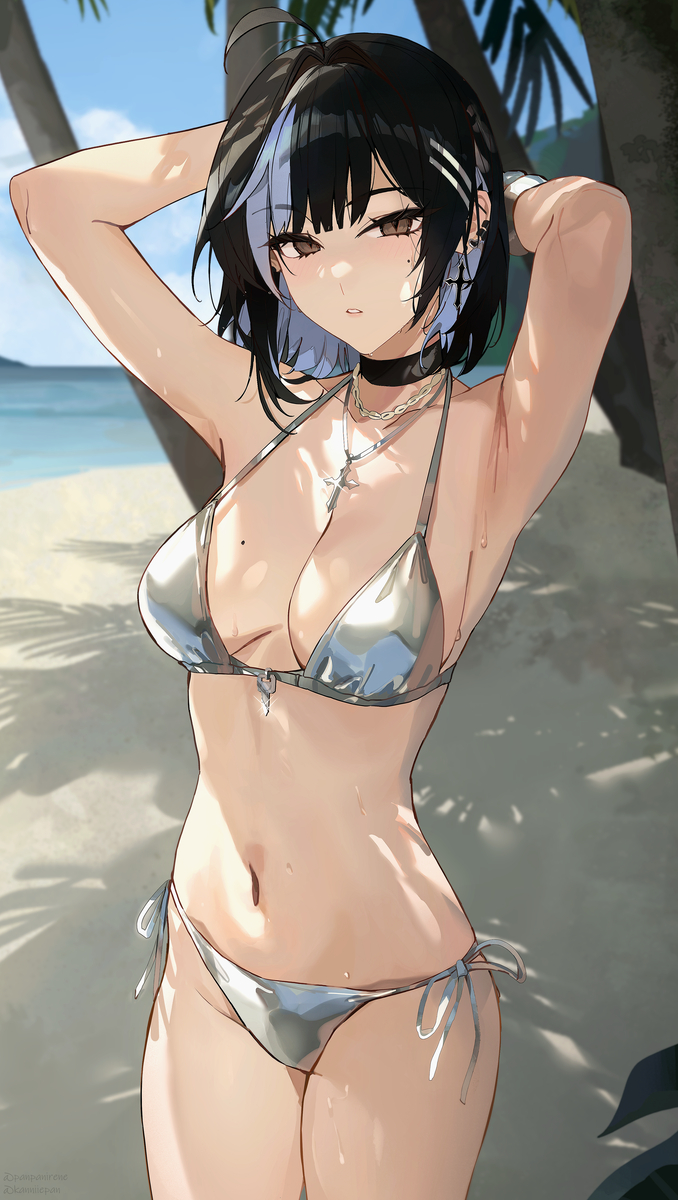 This is a pixiv picture whose title is silver bikini is better.