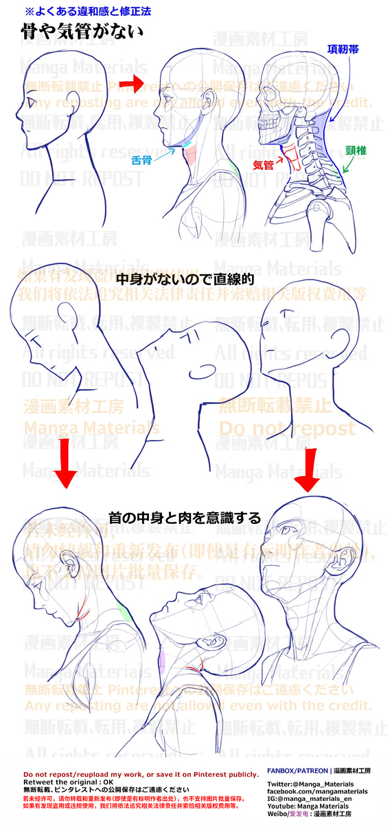 This is a pixiv picture whose title is 個人メモ：首の構造 / 骨と気管.