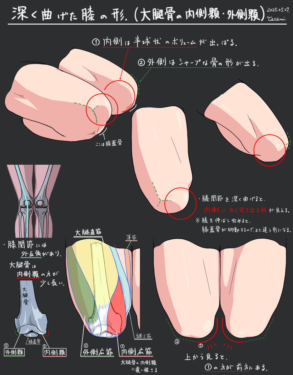 This is a pixiv picture whose title is 曲げた膝の形スタディ.