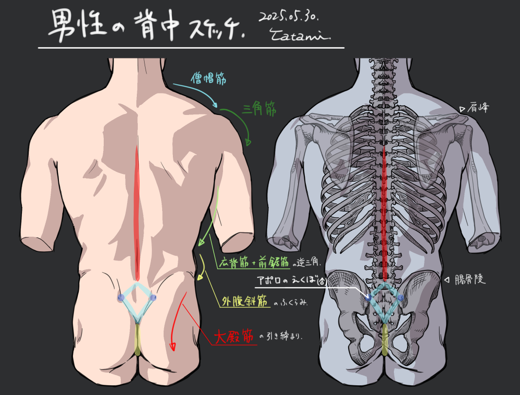 This is a pixiv picture whose title is 男性の背中スケッチ.