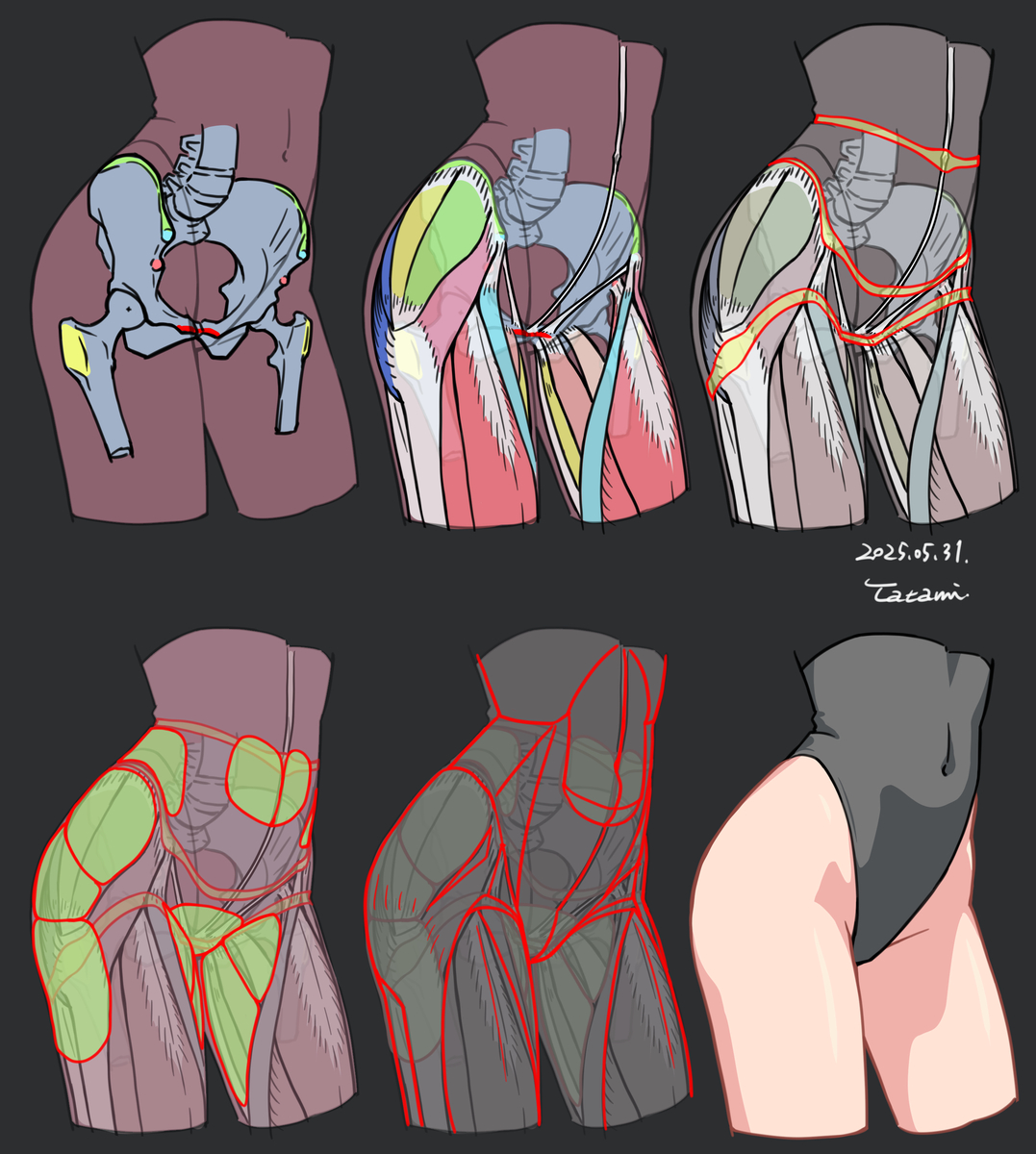 This is a pixiv picture whose title is 女性の腰回りの解剖学スタディ.